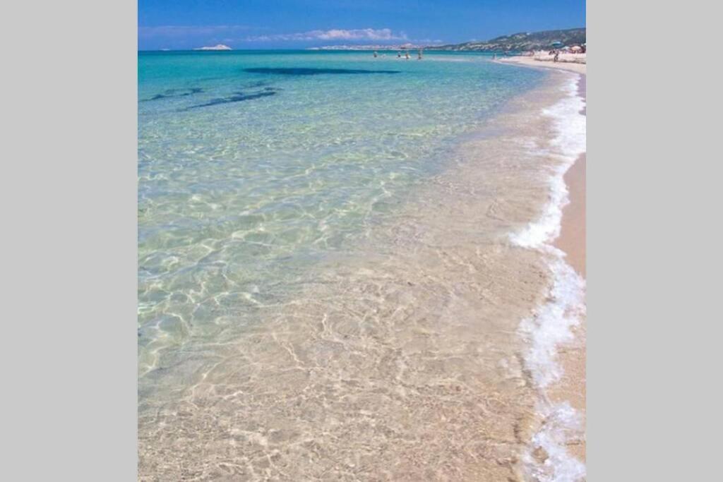 Residence Baia Delle Mimose บาเดซี ภายนอก รูปภาพ