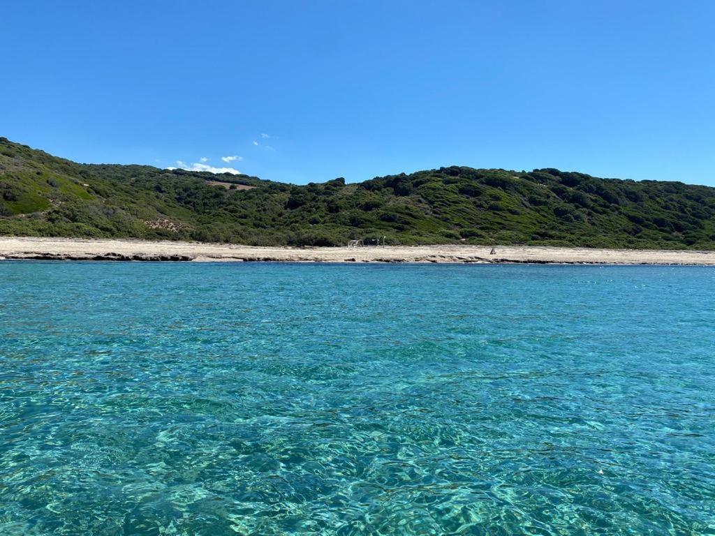Residence Baia Delle Mimose บาเดซี ภายนอก รูปภาพ